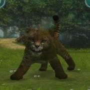 Kinectimals HD Gameplay IPad IPad2