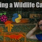 Raspberry PI Wildlife Camera With Tensorflow Creating My Own Image Dataset With CVAT