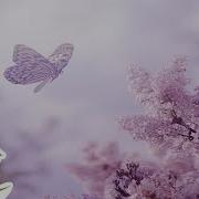 Always Soft Beautiful Relaxing Piano Music By Peder B Helland With Nature Photos