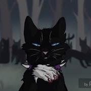 Outside Warrior Cats Animator Tribute