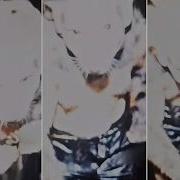 REAL Cryptids Caught Clearly On Camera