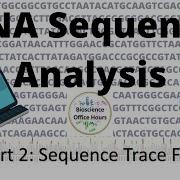 DNA Sequence Analysis Culture Validation Part 2 DNA Sequence Trace File