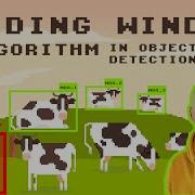 How To Use Sliding Window For Object Detection In Supervisely Computer Vision Tutorial
