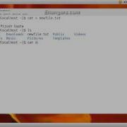 Learn Cat Command In Linux
