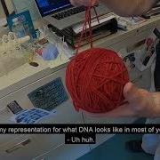 Virtual Lab Tour Biology With Dr Kerry Bloom At UNC Chapel Hill