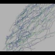 Traumatic Brain Injury Neuron Segmentation