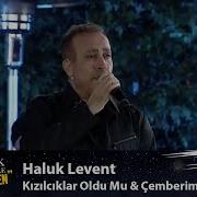 Haluk Levent KIZILCIKLAR OLDU MU ÇEMBERİMDE GÜL OYA