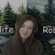 How To Make Realistic Terrain Roblox Studio Developer