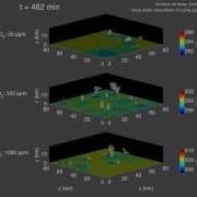 CRM Simulations Temperature And Clouds