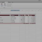 DevExpress WinForms Spreadsheet Data Filtering