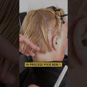 IN PROCESS PIXIE BOB CUT Full Tutorial Linked Below