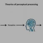 654x368 Week 03 Perception And Object Recognition PSYB57H3 Y LEC99 20205Introduction To Cognitive Ps