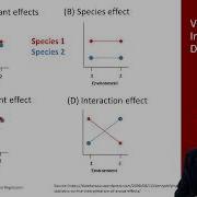 13 8 Multiple Linear Regression Interaction Terms