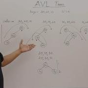 10 1 AVL Tree Insertion And Rotations