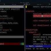 Unix System V Shared Memory In C