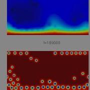 Reaction Diffusion Convection With Strongly Endothermic Reaction 3