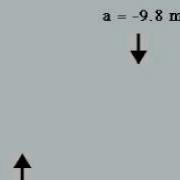 Ball In Free Fall