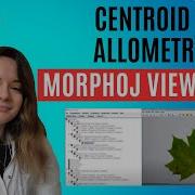 Answering Viewer Questions Centroid Size Scaling Allometry And Distance Matrix In MorphoJ
