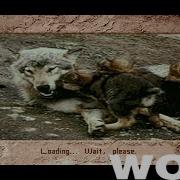 Wolf DOS 1994 Retro Review From Interactive Entertainment Magazine