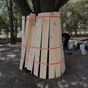Tree Protection Zone TPZ HOW TO