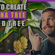 Speedtree Tutorial How To Create A Banana Tree