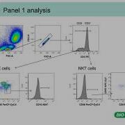 Multicolor Panel Building In Flow Cytometry