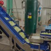 Salad Production Line Salad Vegetable Line Salad Dewatering Machine