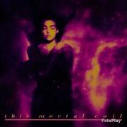 This Mortal Coil Kangaroo Semi Instrumental