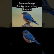 Remove Image Background In Seconds With Python Rembg Tutorial Python Shorts AI Shorts Ml