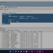 How To Check Record Exists In Oracle Database