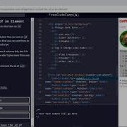 Basic CSS 14 44 Set The Id Of An Element FreeCodeCamp
