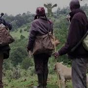 Ogiek Film Giant Of The Mau Forest