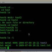 BASH Lesson 2