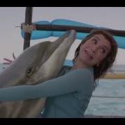 Desperados 2020 Dolphin Scene