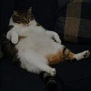 Sit Back