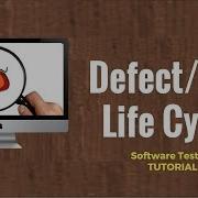 Defect Bug Life Cycle Software Testing Tutorial 23