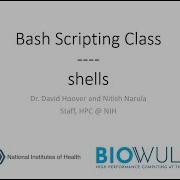 Bash Scripting Class Shells