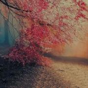 Melodic Progressive House Mix Vol 11 Beauty In The Shadows