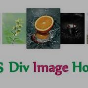 Div Box Image Hover Html Css Image Card Hover Effect