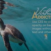Controlling Background Opacity With CSS