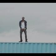 Zlatan Ibile Zlatan Official Video