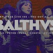 BALTHVS Purple Bee Live 105