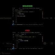 Junior Vs Senior Noob Vs Pro Developer Webdevelopment Webdesign Html Css Coding Javascript