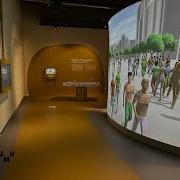 Interactive Collision Avoidance Exploring Human Behavior At Universiteits Museum Utrecht
