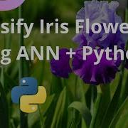 Neural Network For Beginners With Iris Flower Classification Tec4Tric