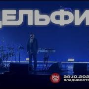 Дельфин Снег Live Владивосток 29 10 2025