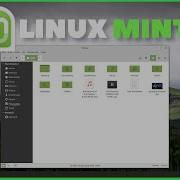 Полное руководство по Linux Mint понимание файлов и папок в Linux