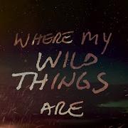 Where My Wild Things Are Lyric Video