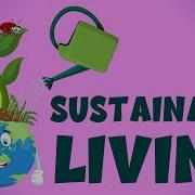What Is Sustainable Living Eco Friendly Habits Why Is Sustainable Life Important Education