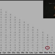 БЛАСТ 5 BLOSUM62